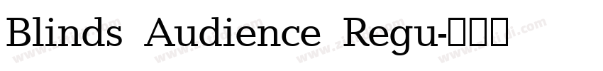 Blinds Audience Regu字体转换
